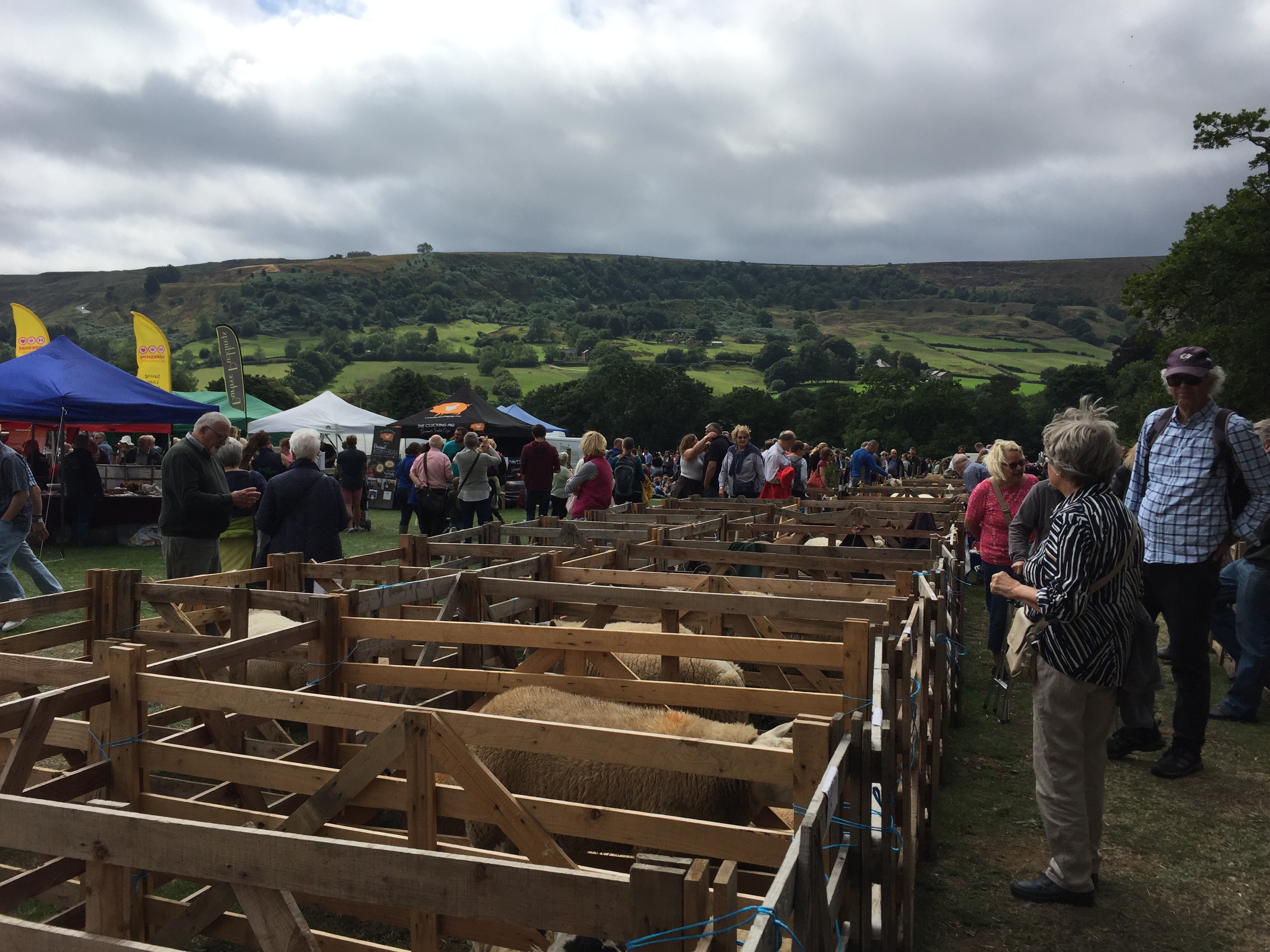 Sheep Show at Rosedale, North York Moors Annual Show
